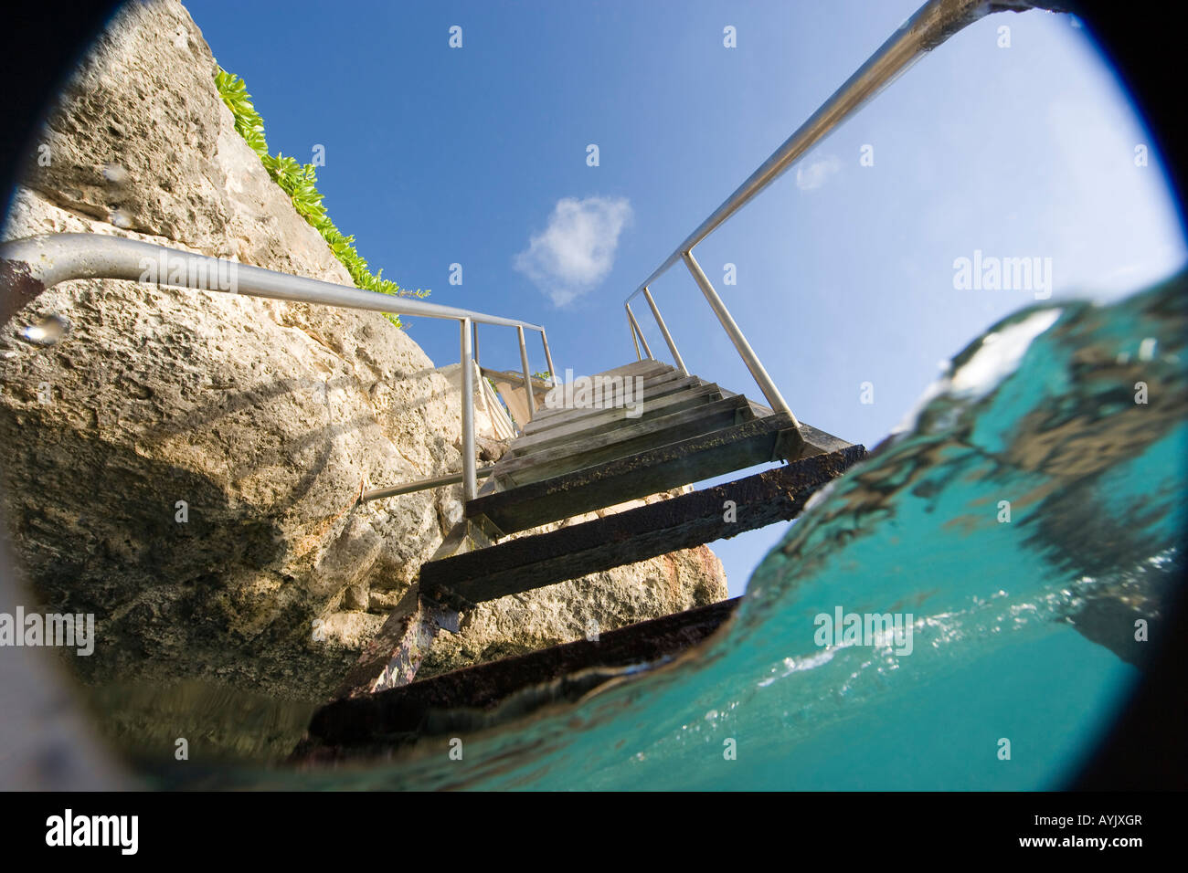 Sotto sopra vista della scala a Buddy Dive Resort Bonaire Netherland Antillies Foto Stock