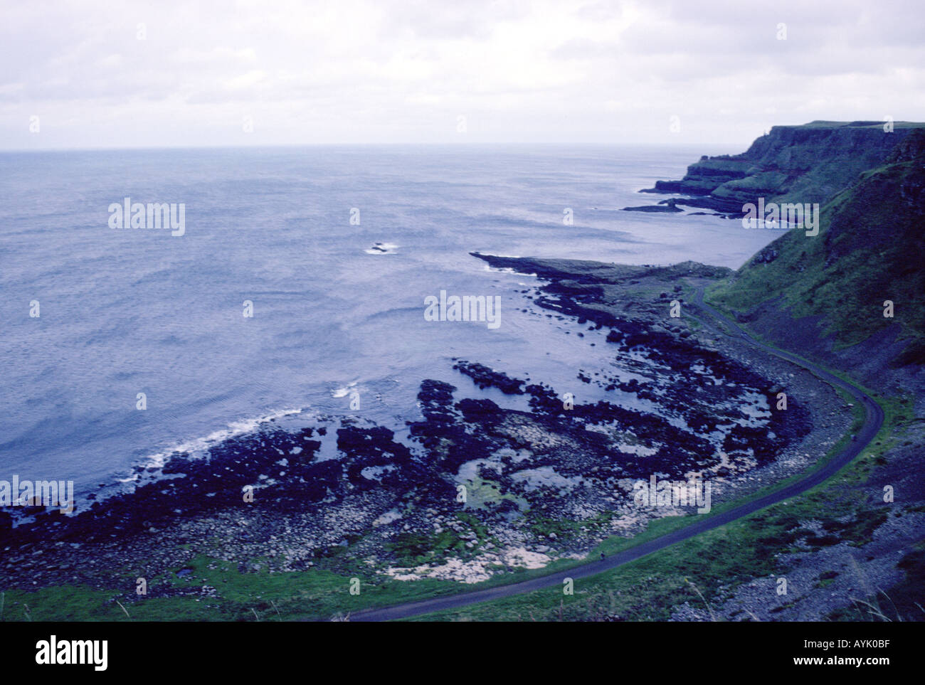 Giant's Causeway. Foto Stock