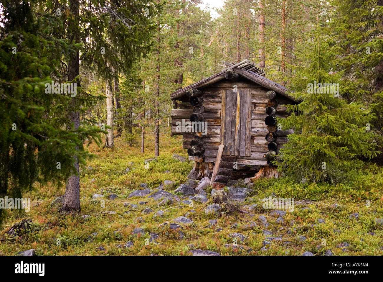 Log Cabin Pyha Luosto Parco nazionale della Finlandia Foto Stock