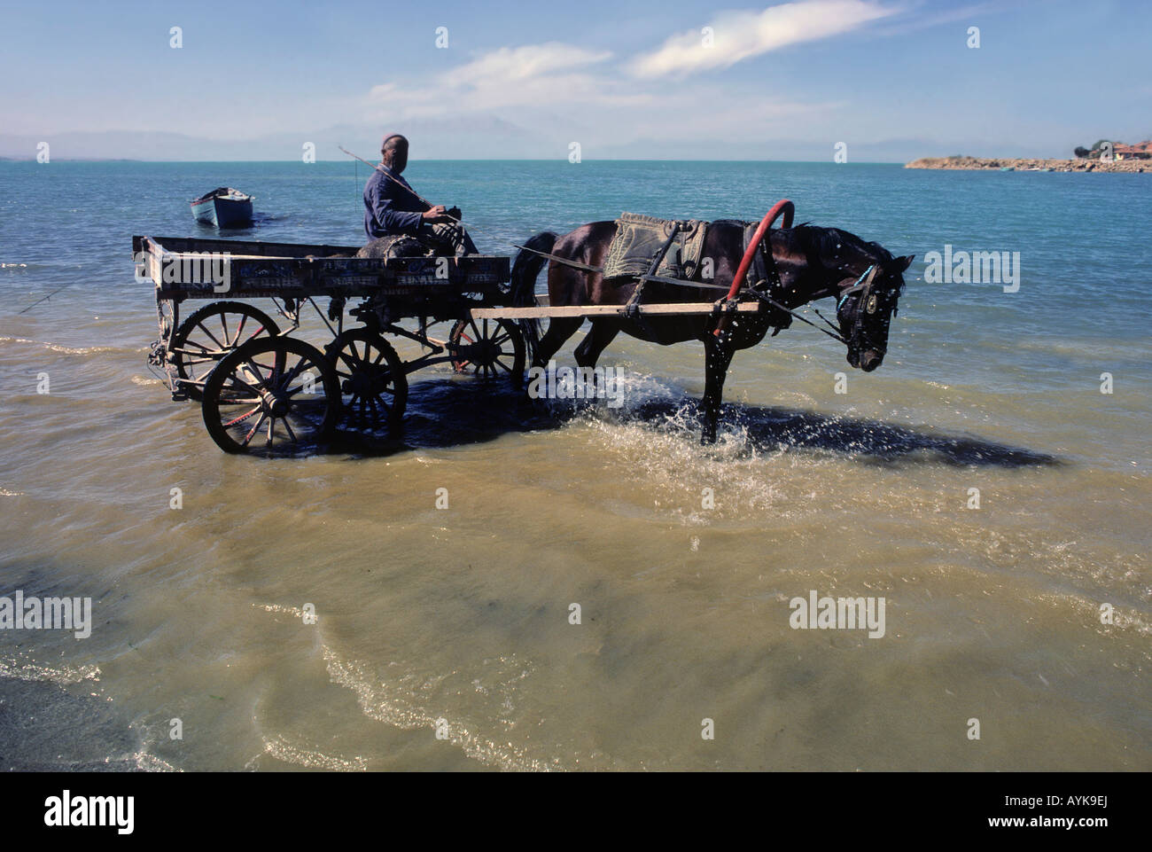 Il cavallo e la spesa nel lago Aksehir, Konya, Turchia Foto Stock