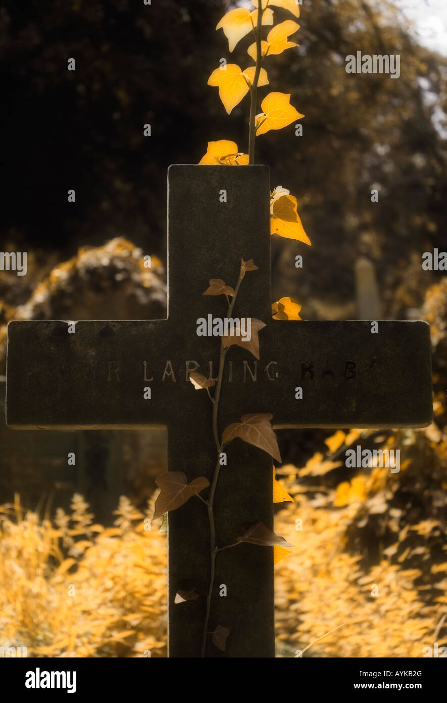 Lapide con 'cara' iscrizione. Foto Stock