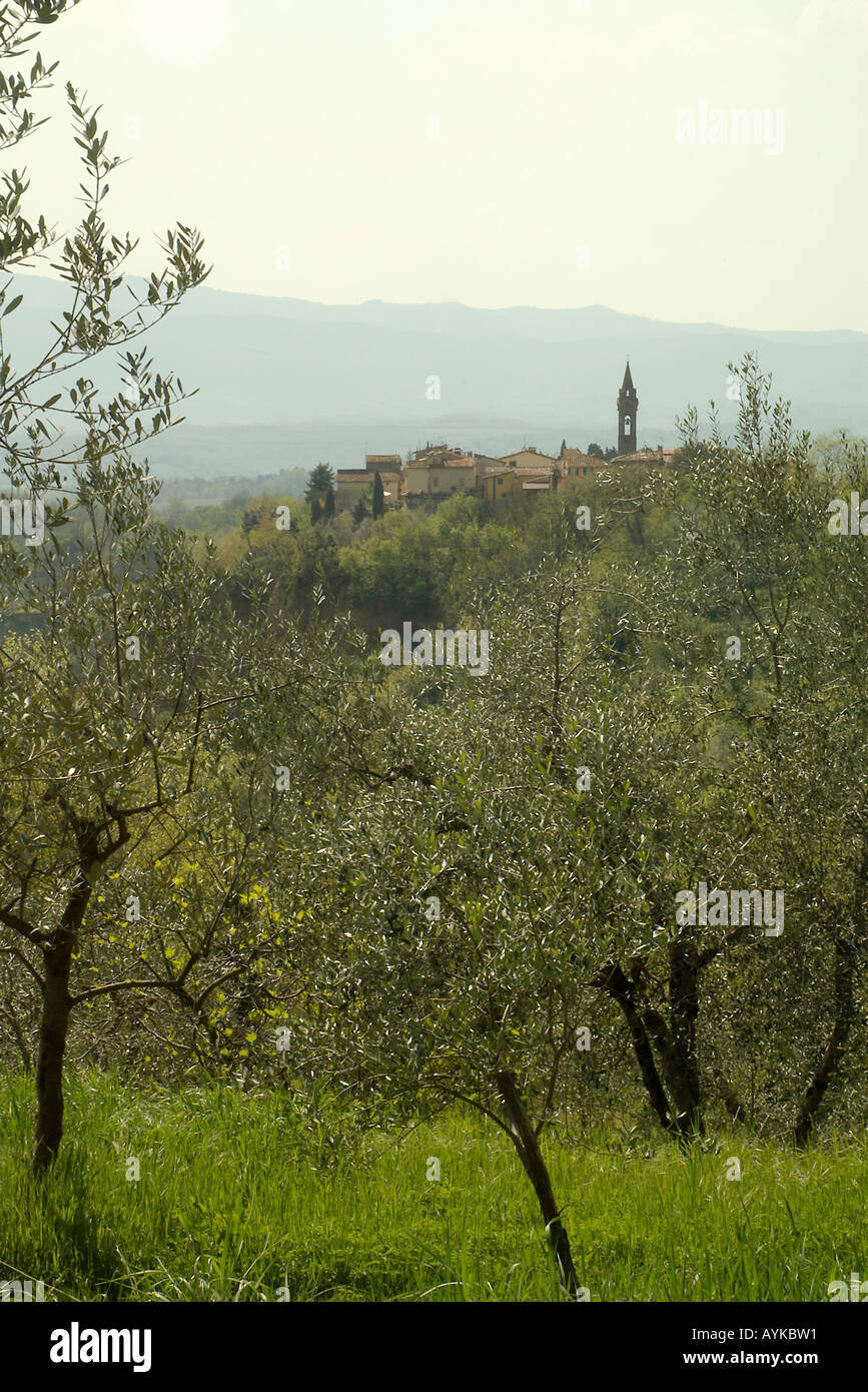 Le Balze Arezzo Toscana Italia montante verticale verticale Foto Stock