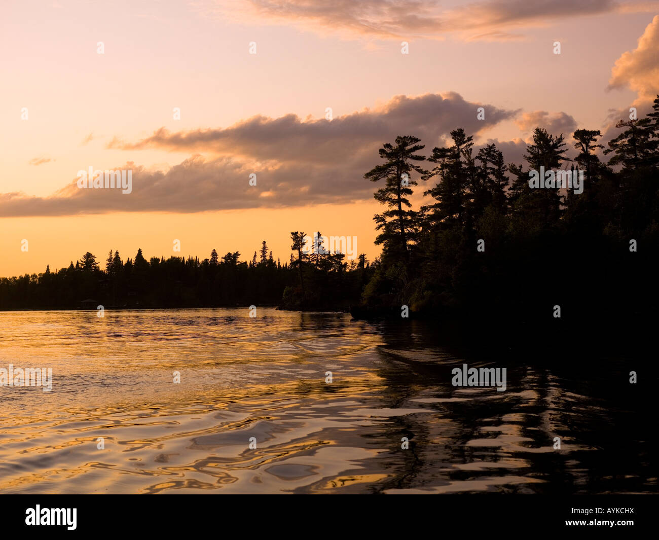 Il lago dei boschi, Ontario, Canada Foto Stock