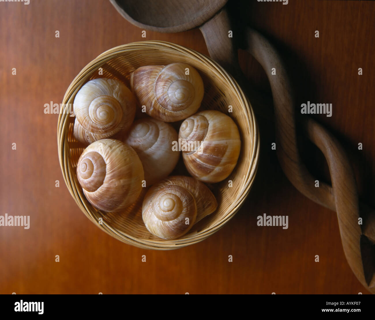 Gusci di lumaca nel carrello still life Foto Stock