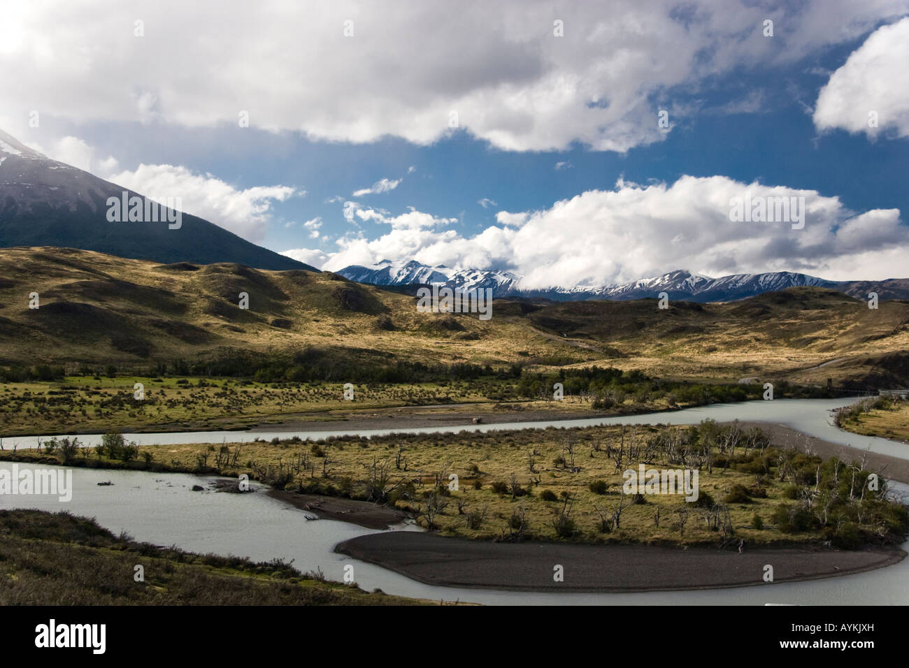 Il Rio Paine vicino alla Laguna Amarga ingresso parco, Parco Nazionale Torres del Paine, Patagonia, Cile Foto Stock