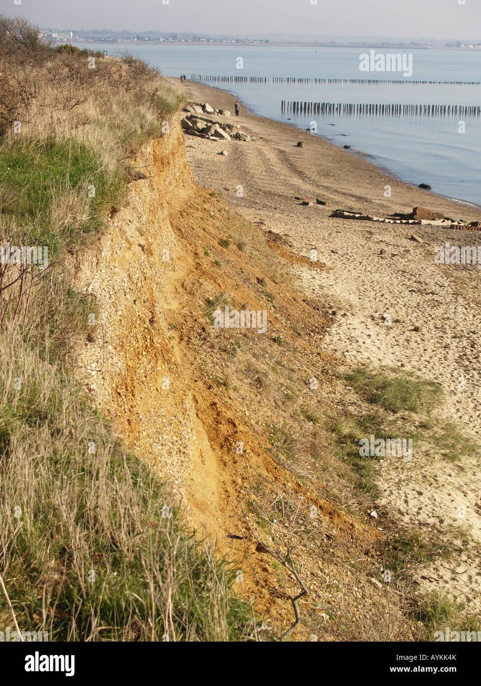 Spiaggia erosa scogliera del bordo del campo di erosione del mare la difesa Foto Stock