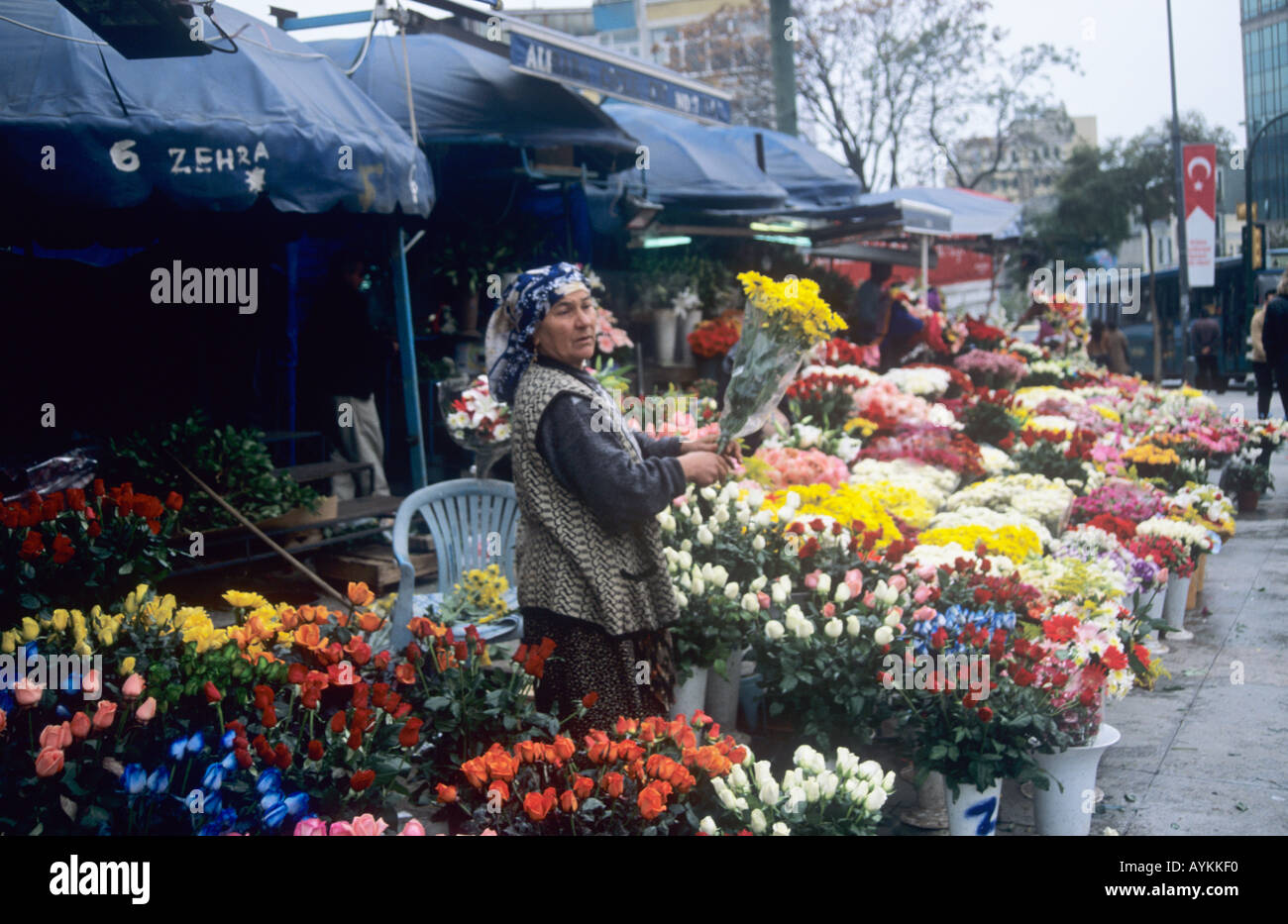ROMA GYPSY FLOWERSELLER a piazza Taksim, Istanbul Foto Stock