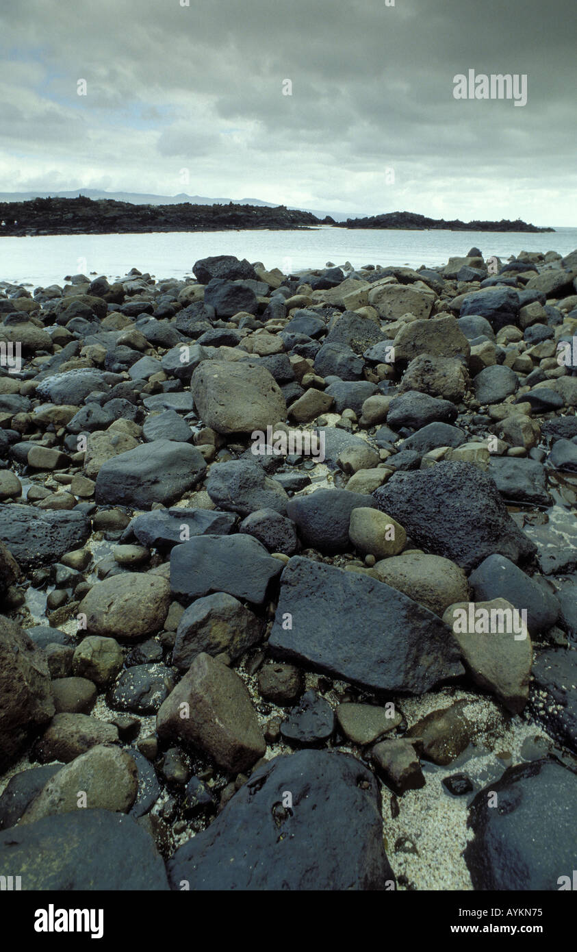 Im Felsbrocken Uferbereich Galápagos Foto Stock