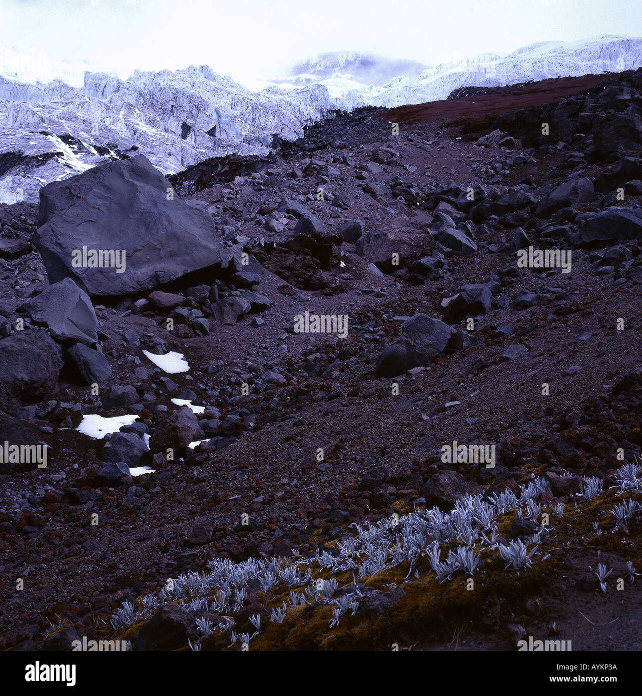 Gletscher Cotopaxi Ecuador Foto Stock