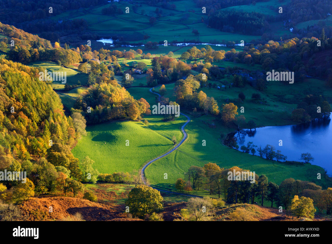 I colori autunnali dalle pendici del Loughrigg cadde guardando verso il basso sulla Loughrigg Tarn Tarn del piede e la valle Brathay Foto Stock