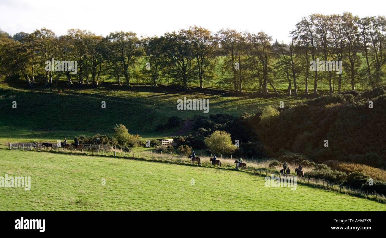 Andare a cavallo nel Pentland Hills nei pressi di Edimburgo in Scozia Foto Stock