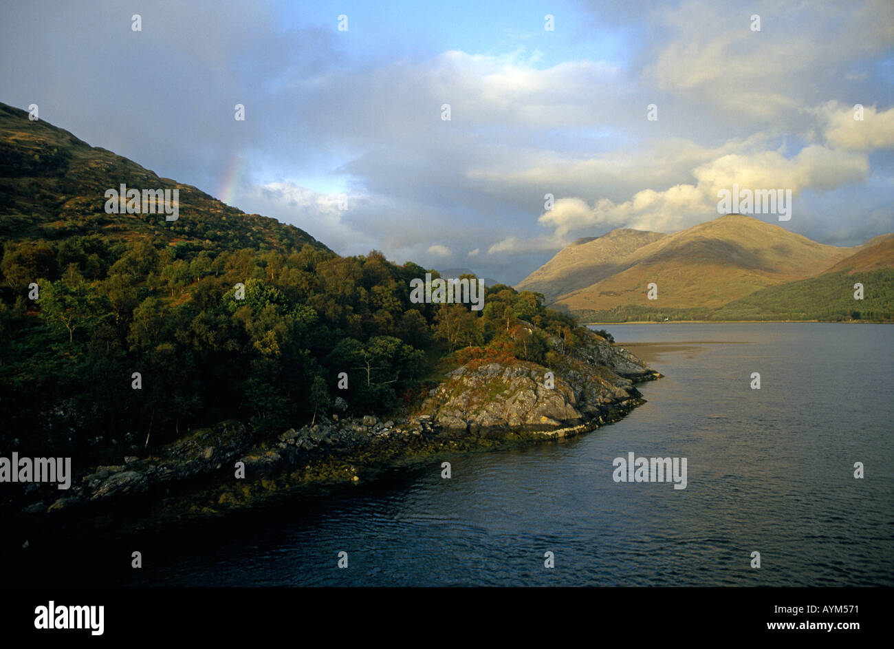 Vista panoramica di loch Creran Argyll Scotland Regno Unito Foto Stock