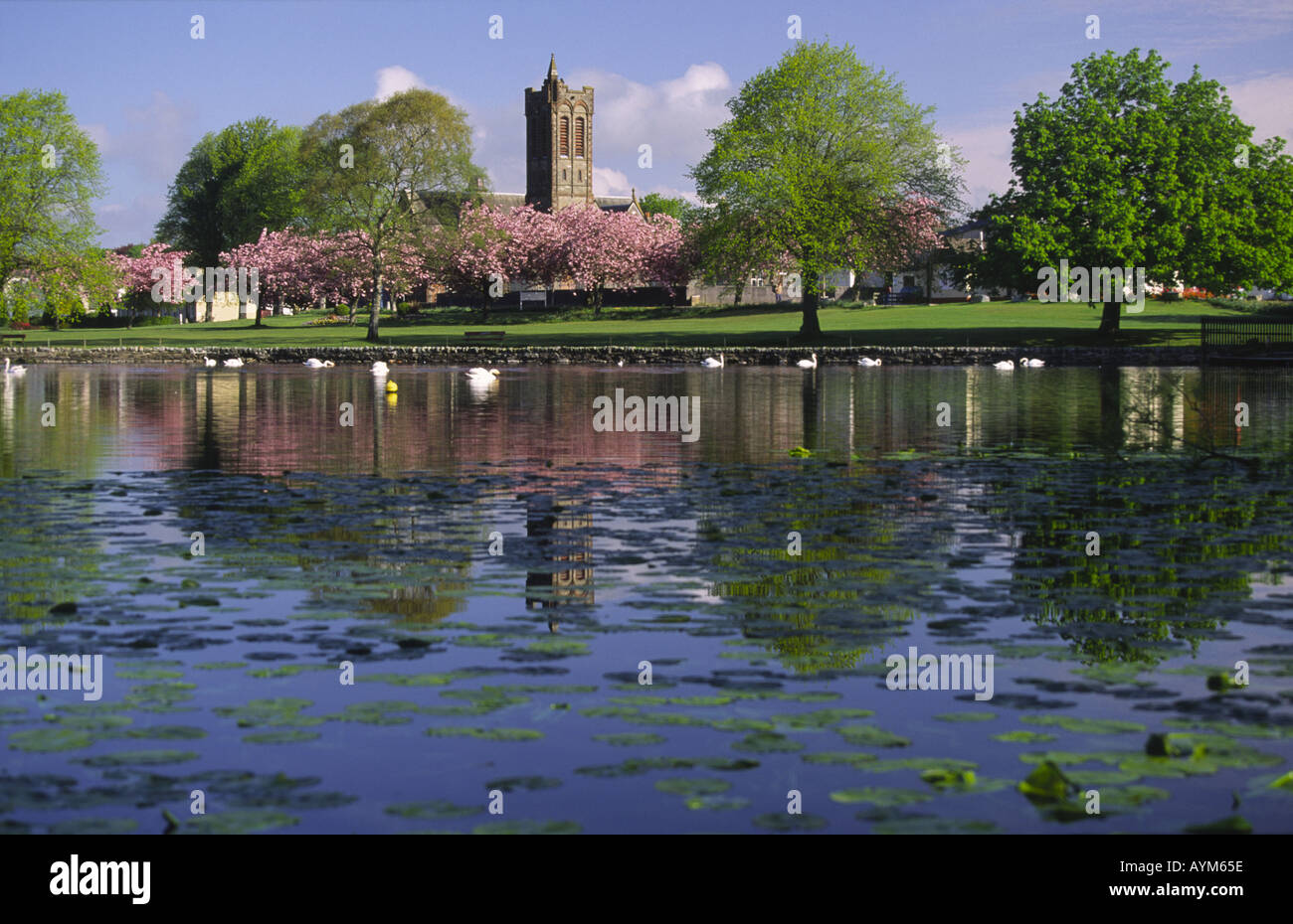 La molla Carlingwark Loch a Castle Douglas Foto Stock