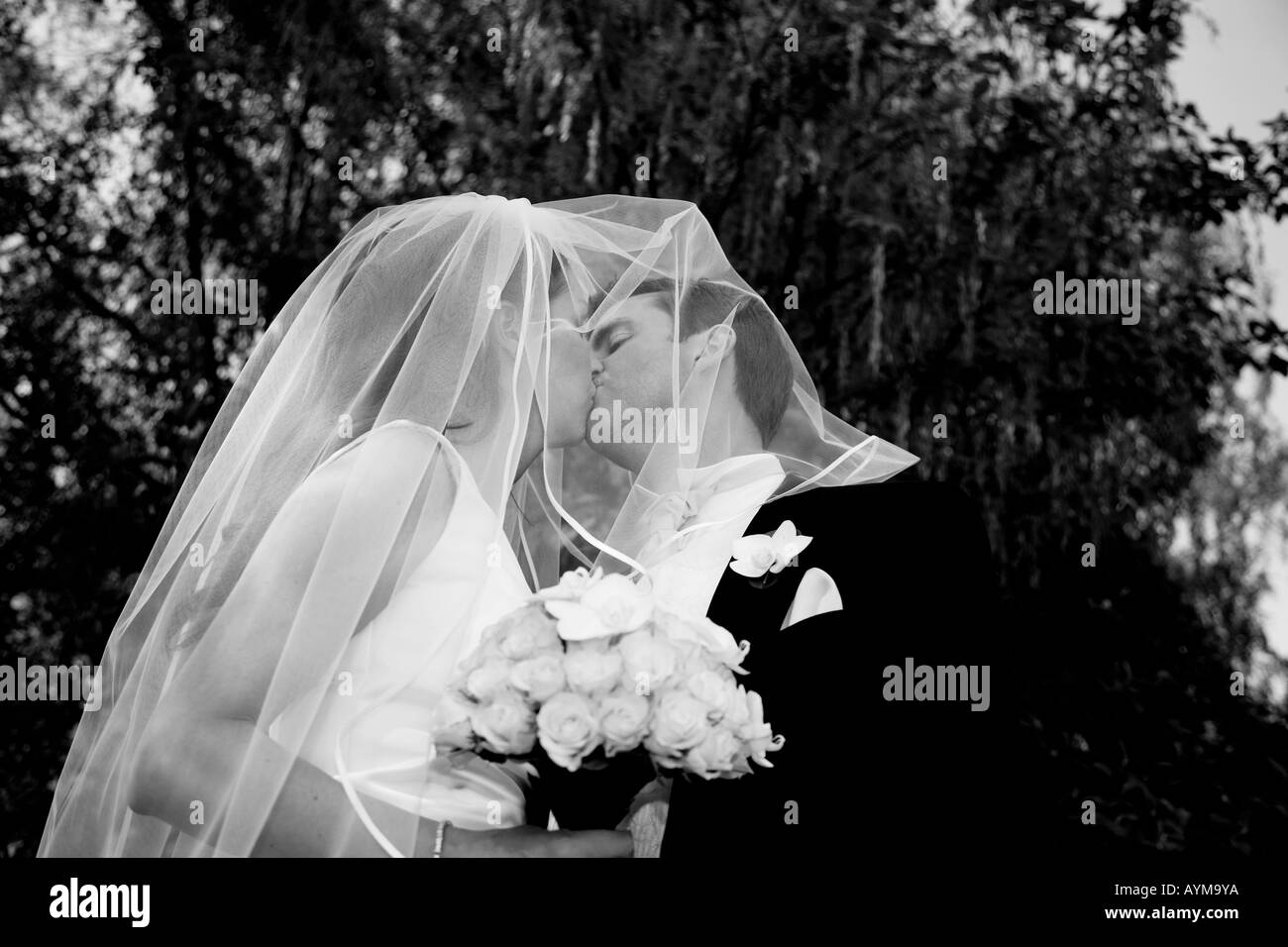 Kissing dietro il velo - bianco e nero Foto Stock