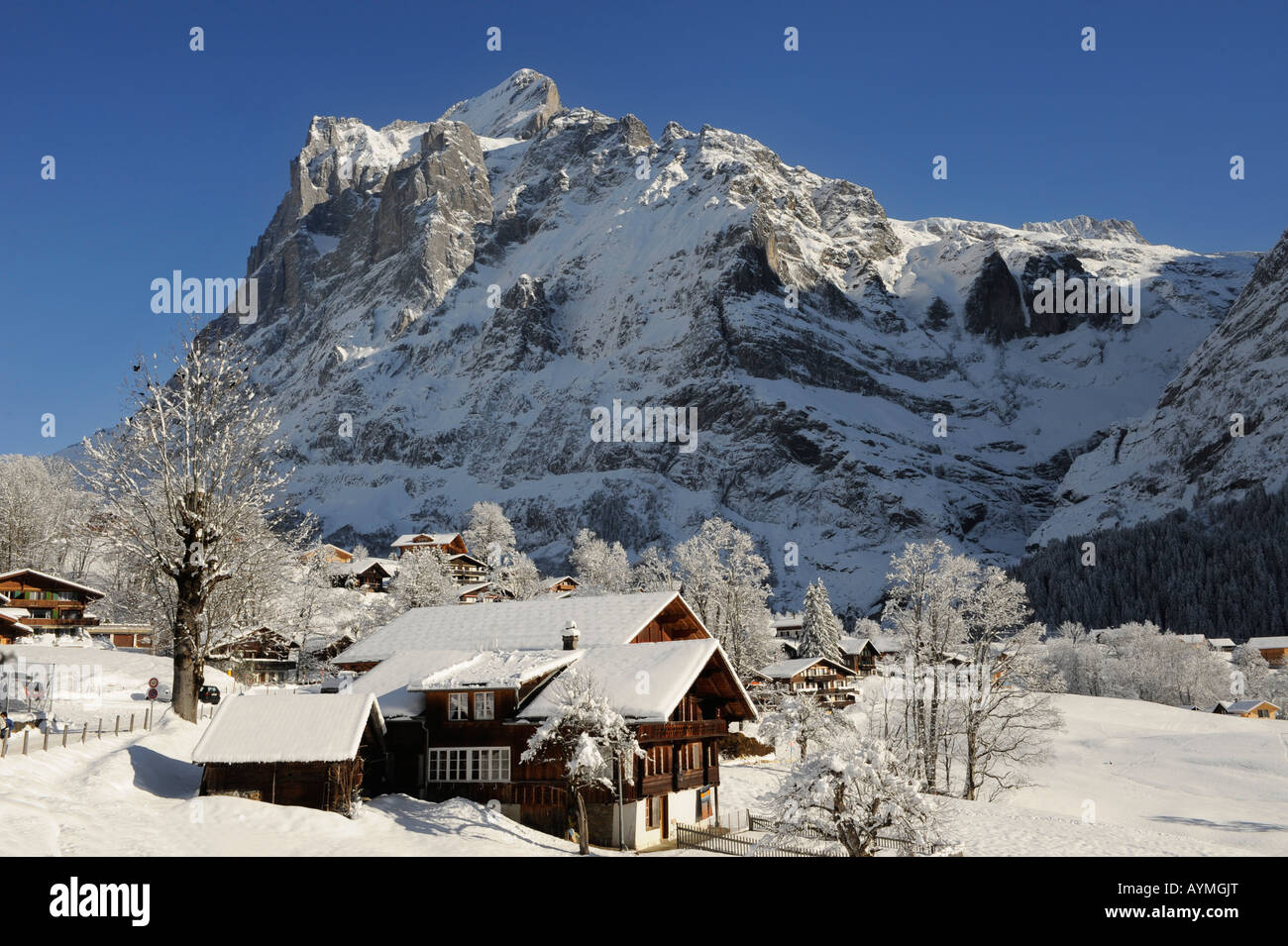 Chalet Svizzero con il Wetterhorn montagna in inverno la neve. Grindelwald, alpi svizzere. Foto Stock