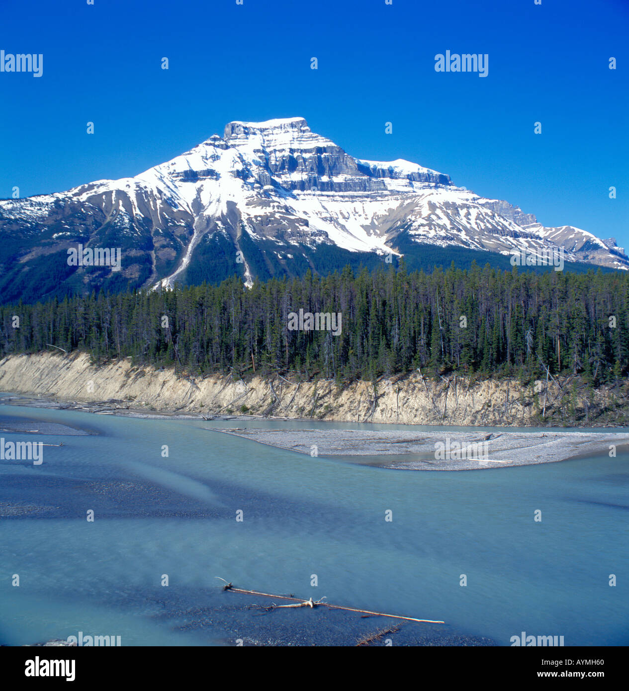 Montagne rocciose a Icefield Parkway, Alberta, Canada. Foto di Willy Matheisl Foto Stock
