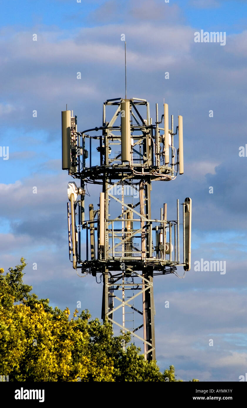 Inquadratura di un telefono cellulare il montante situato sulla M25 Autostrada nel Hertfordshire Foto Stock