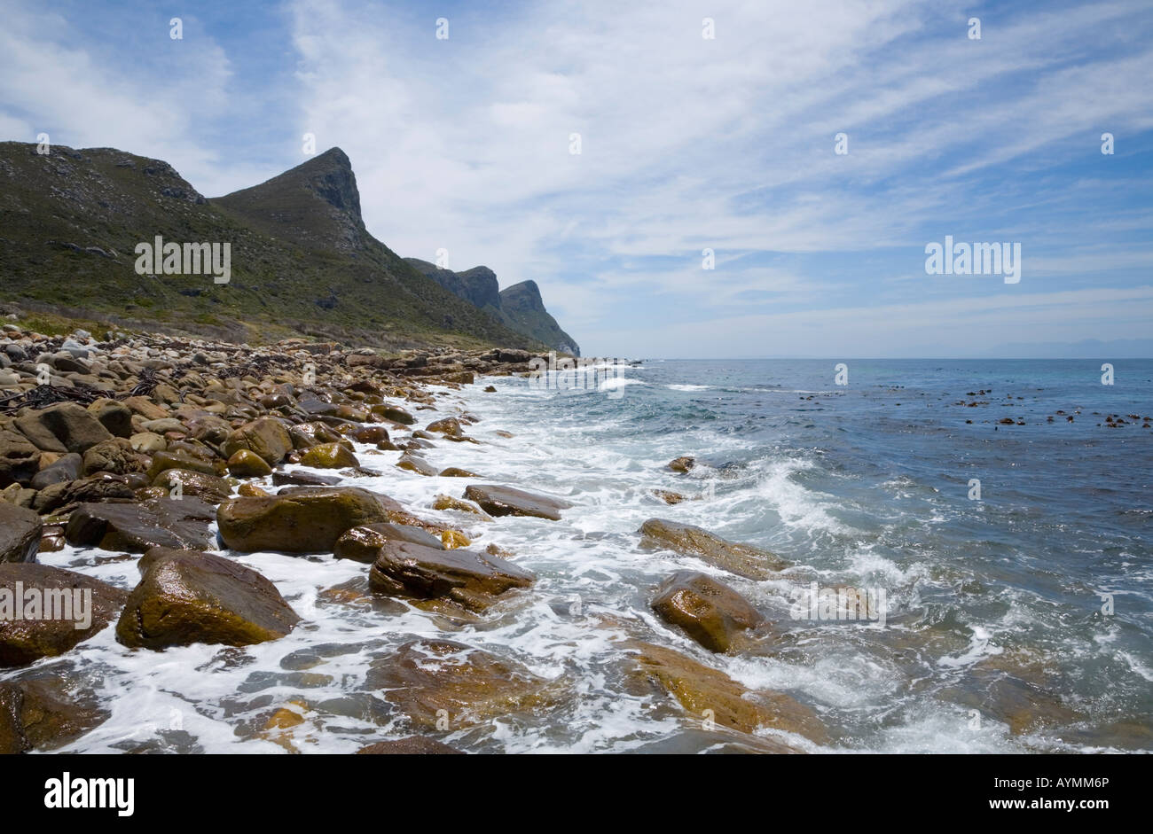 Vista verso Paulsberg lungo la costa della Riserva Naturale del Capo di Buona Speranza in Sud Africa Foto Stock