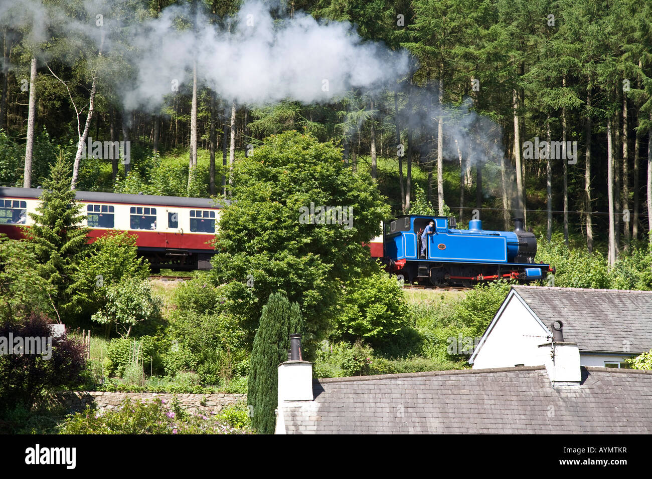 Treno a vapore sul lago & Haverthwaite ferroviarie, Nr Ulverston, Cumbria. Lake District inglese Foto Stock