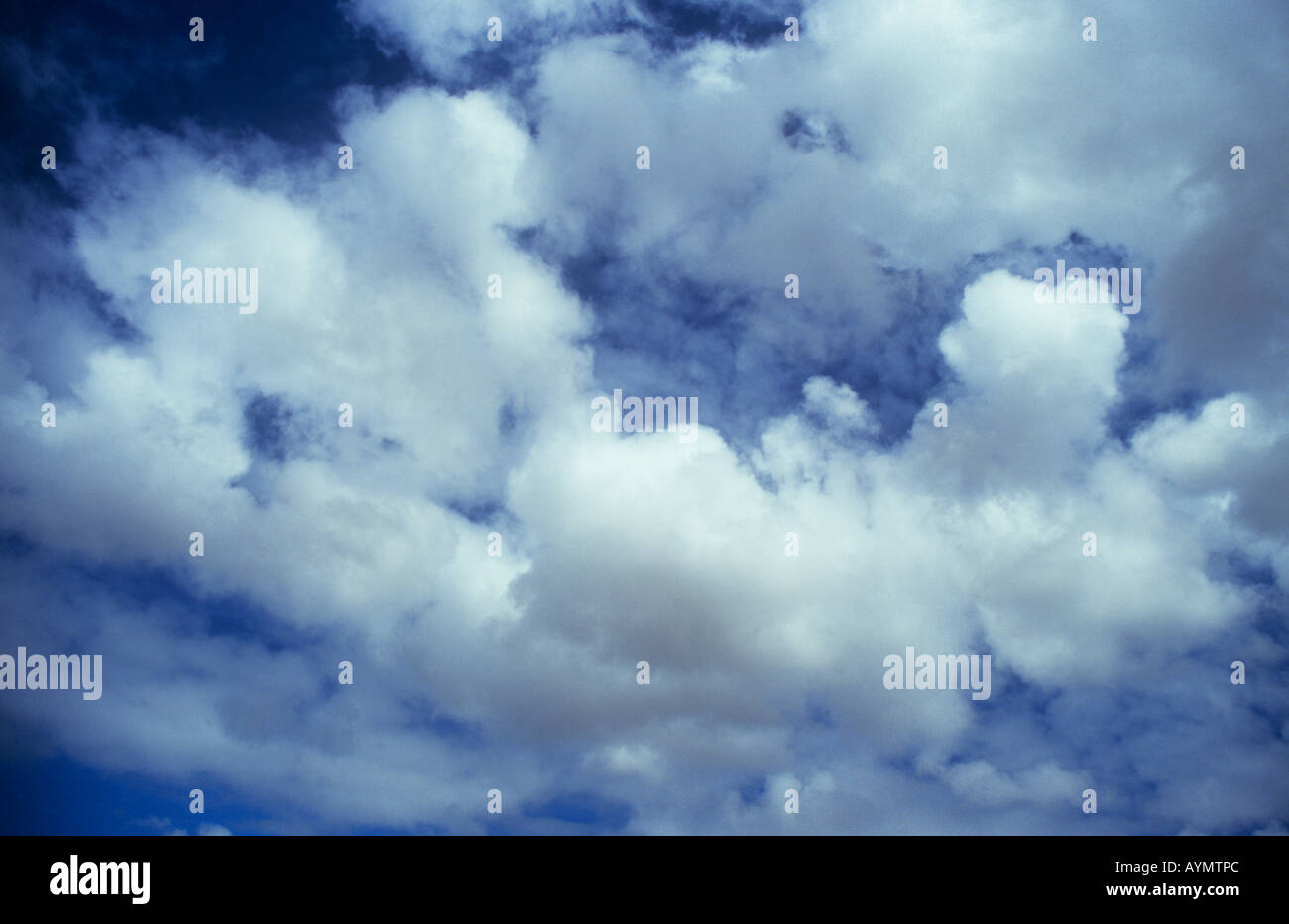 Grumi irregolari di bianco cumulus cloud raccolta o disperdendo contro un cielo blu Foto Stock