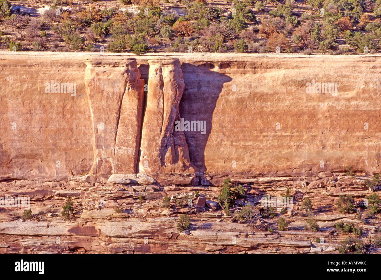 Paesaggio di Colorado National Monument, Colorado Foto Stock