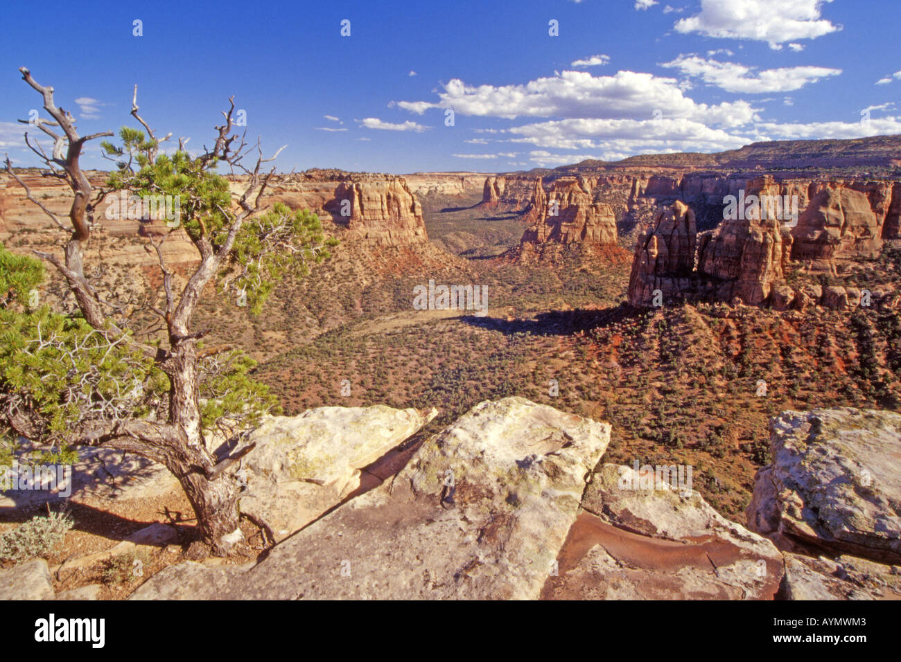 Canyon monumento, Colorado National Monument, Colorado Foto Stock