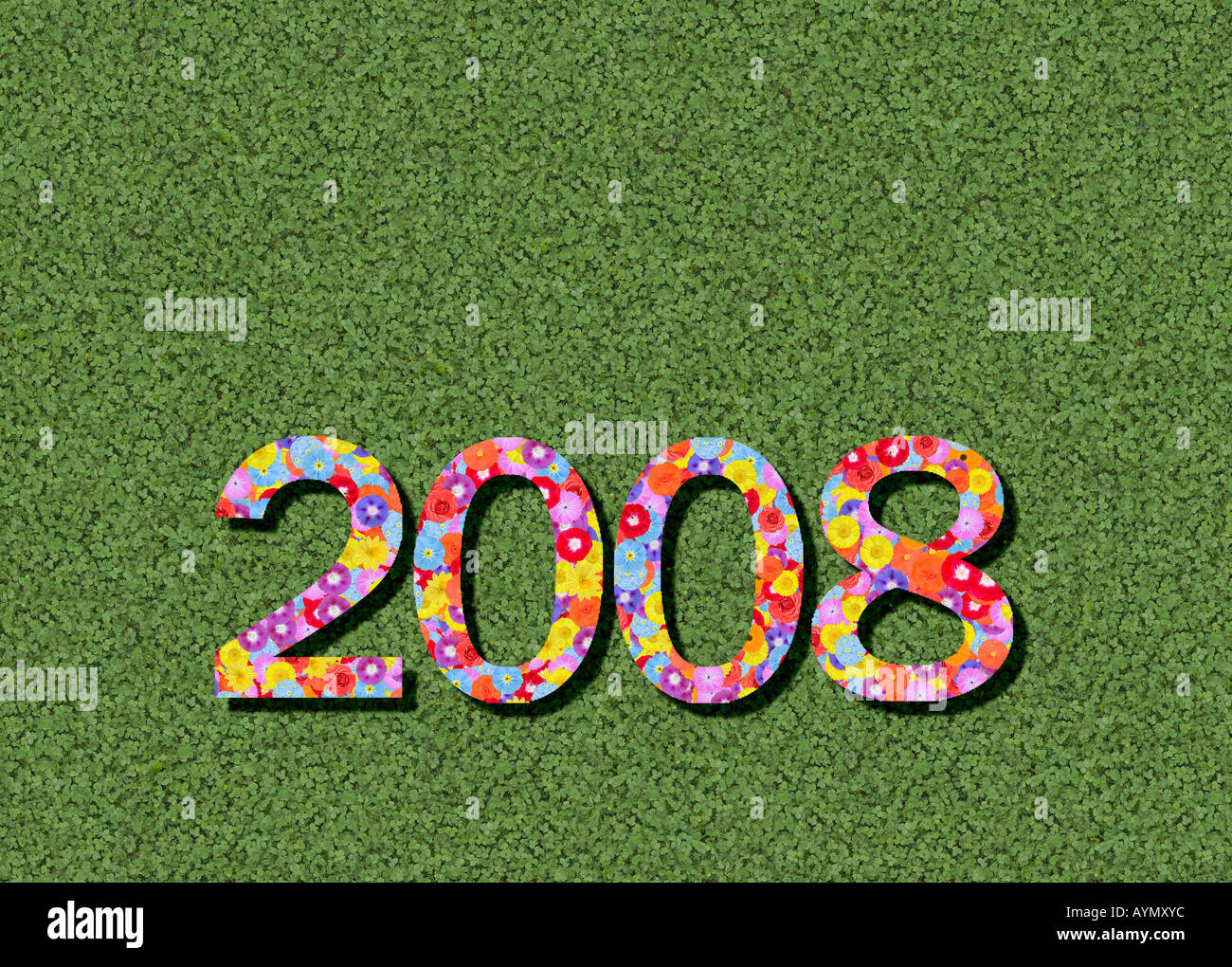 Anno 2008 sillabato modificati preconfigurate Foto Stock