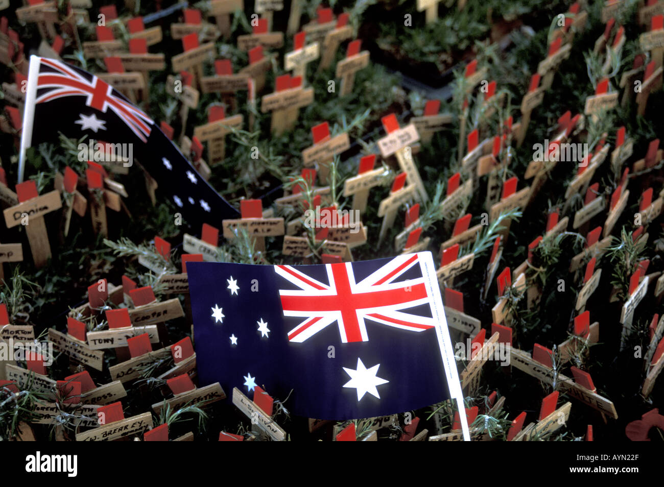 Anzac Day 25 aprile 2004 Sydney Australia Australian bandiere tra croci di legno piantate nel campo della rimembranza Foto Stock
