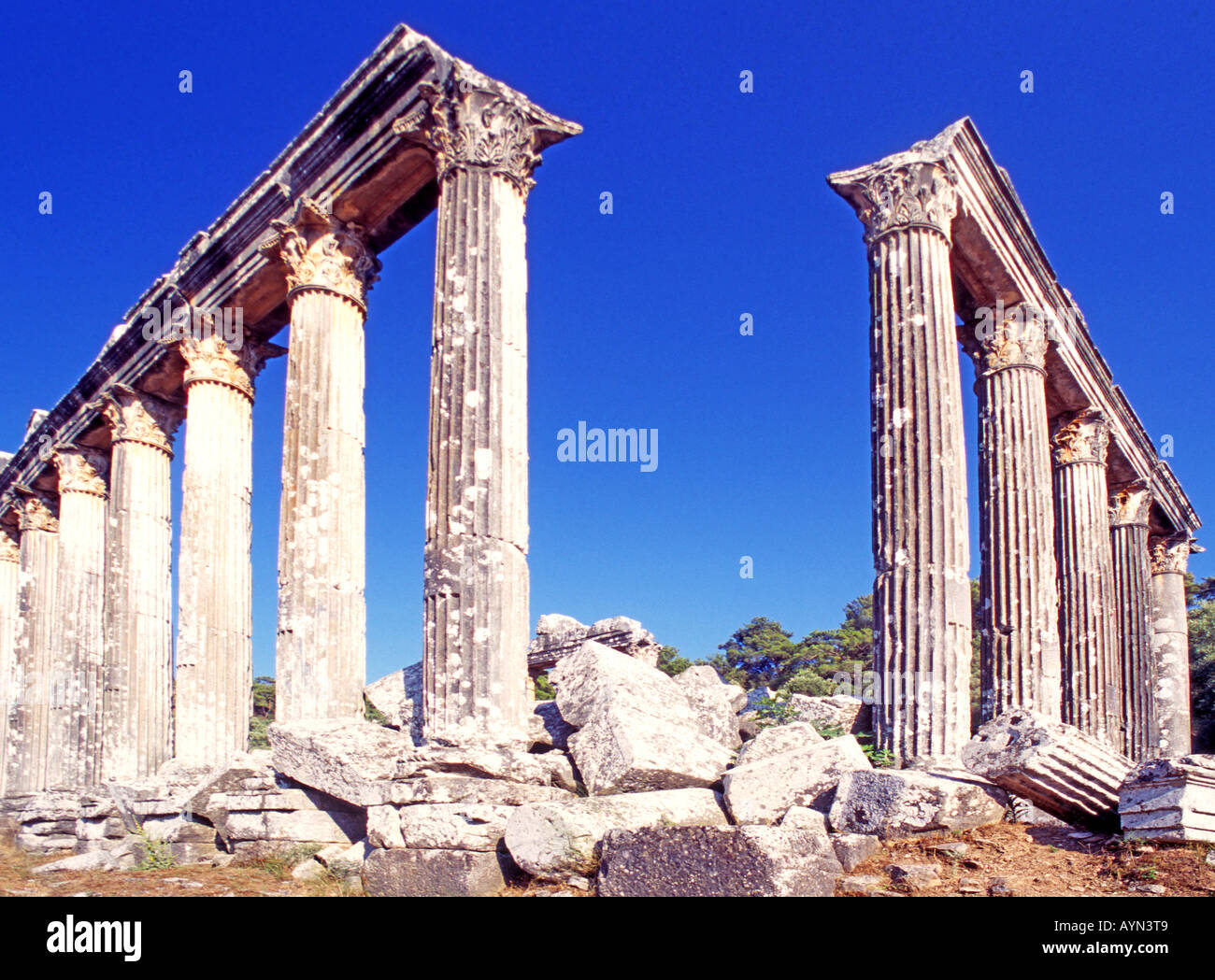 Tempio del dio Zeus greco antico Euromos Turchia Foto Stock