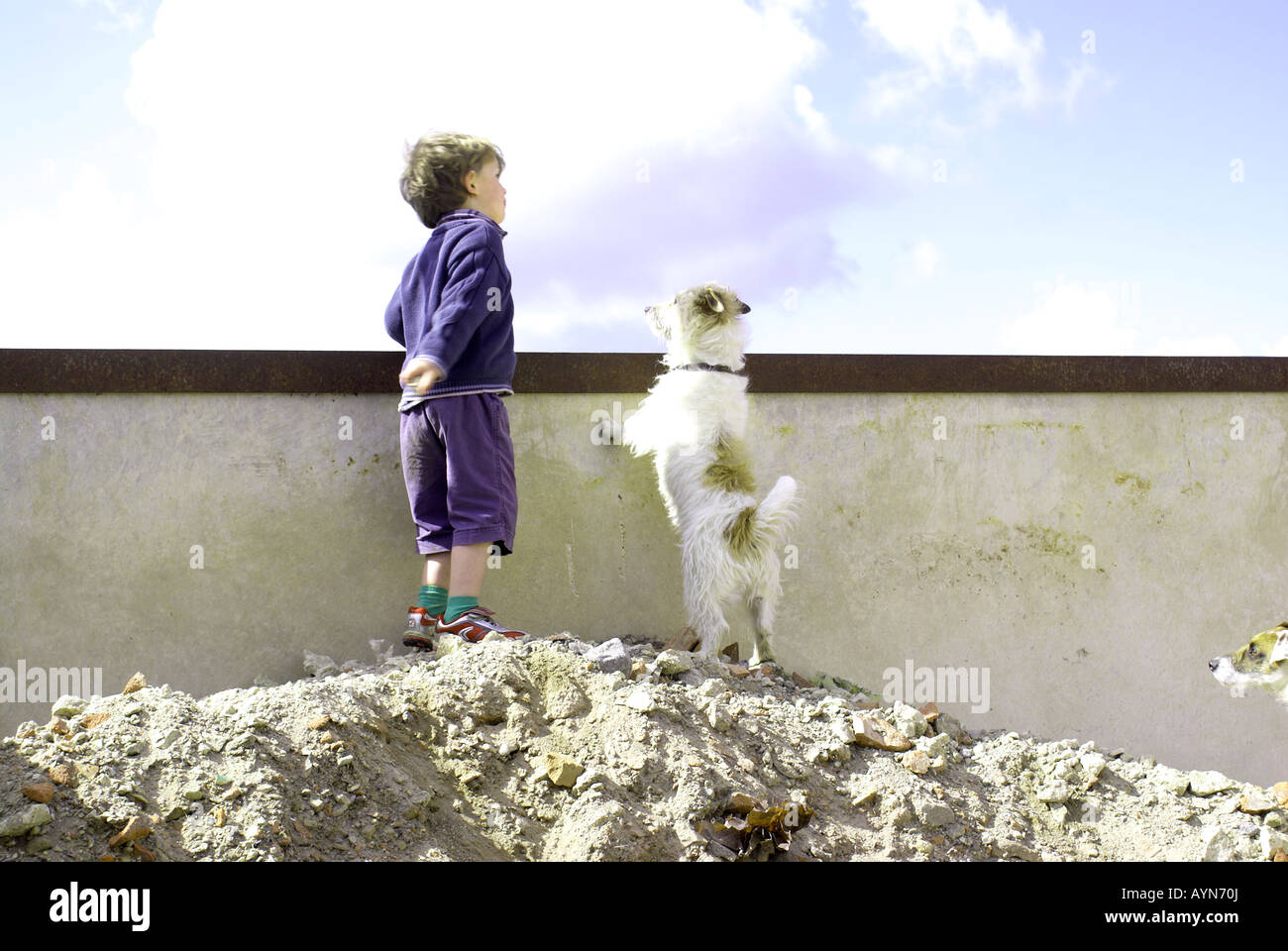 Kids messing about con cane Jack RussFriendship; compagnia, di vicinanza, di intimità e familiarità, amabilità, affinità, rapporto, Foto Stock