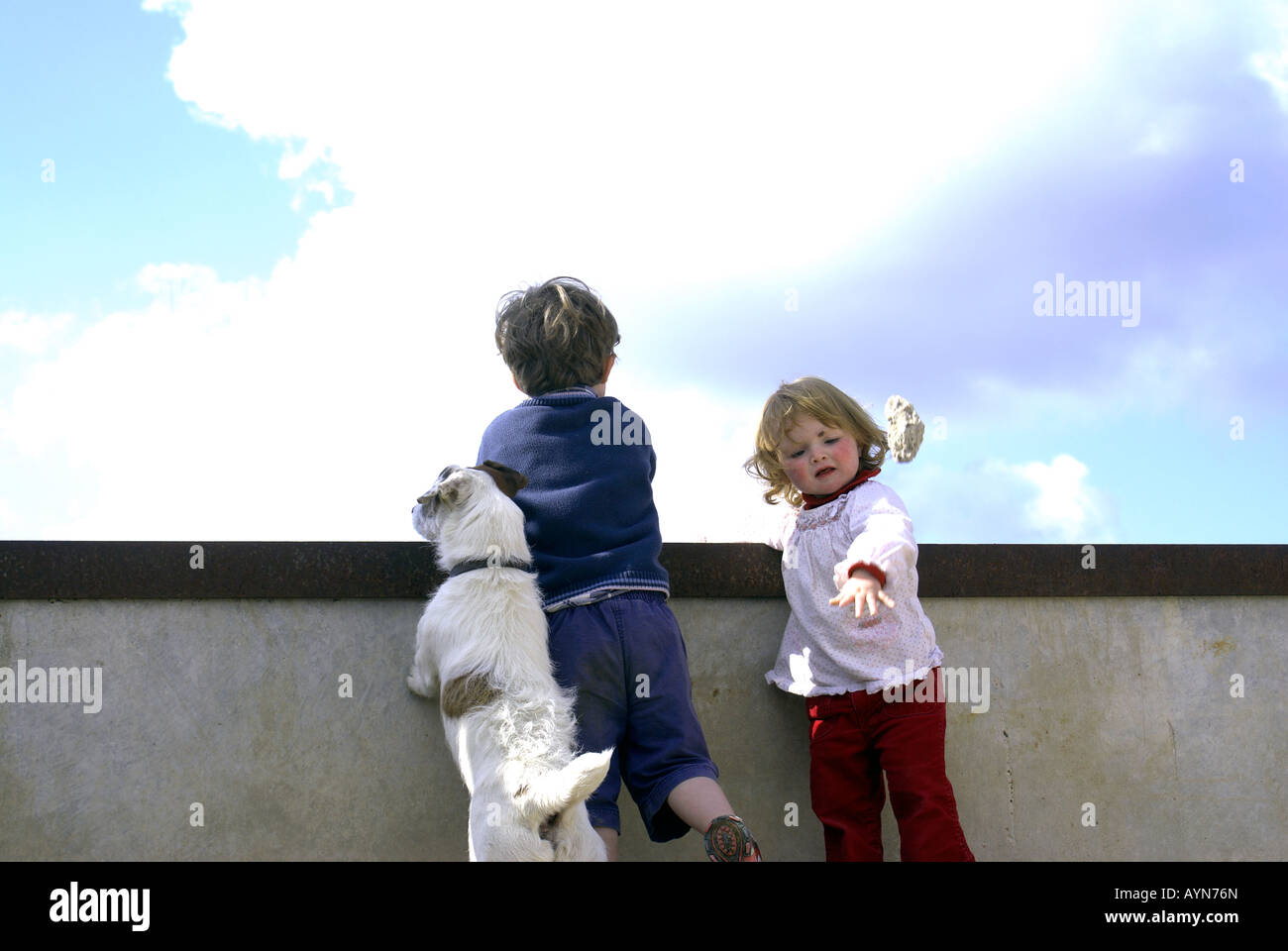 Kids messing about con cane Jack RussFriendship; compagnia, di vicinanza, di intimità e familiarità, amabilità, affinità, rapporto, Foto Stock