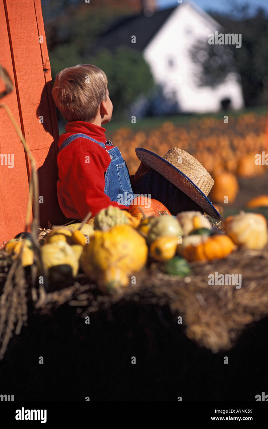 Caucasian ragazzo seduto in zucca patch su fattoria Easton CT STATI UNITI D'AMERICA Foto Stock