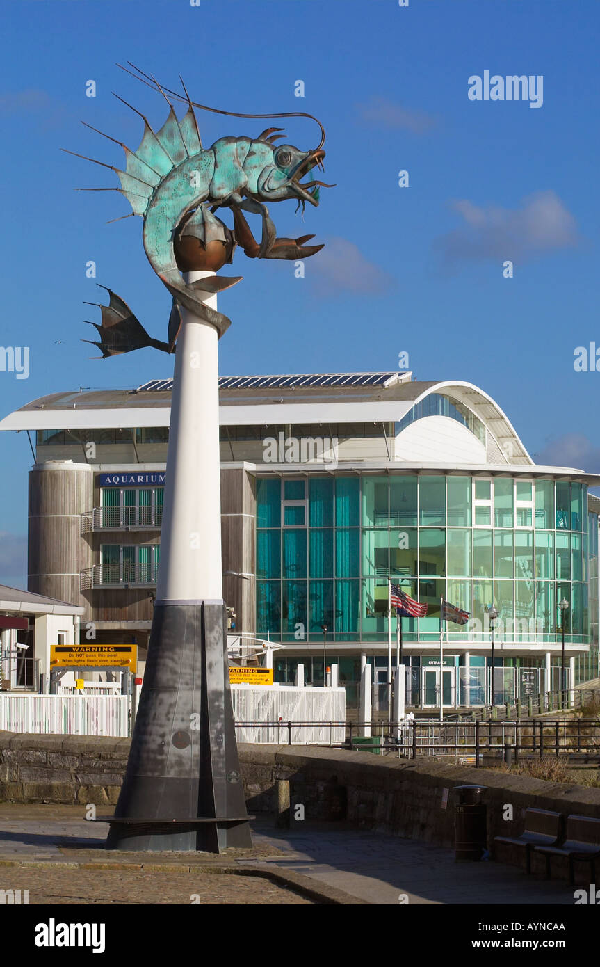 Il National Marine Aquarium di Plymouth, Devon, Regno Unito Foto Stock