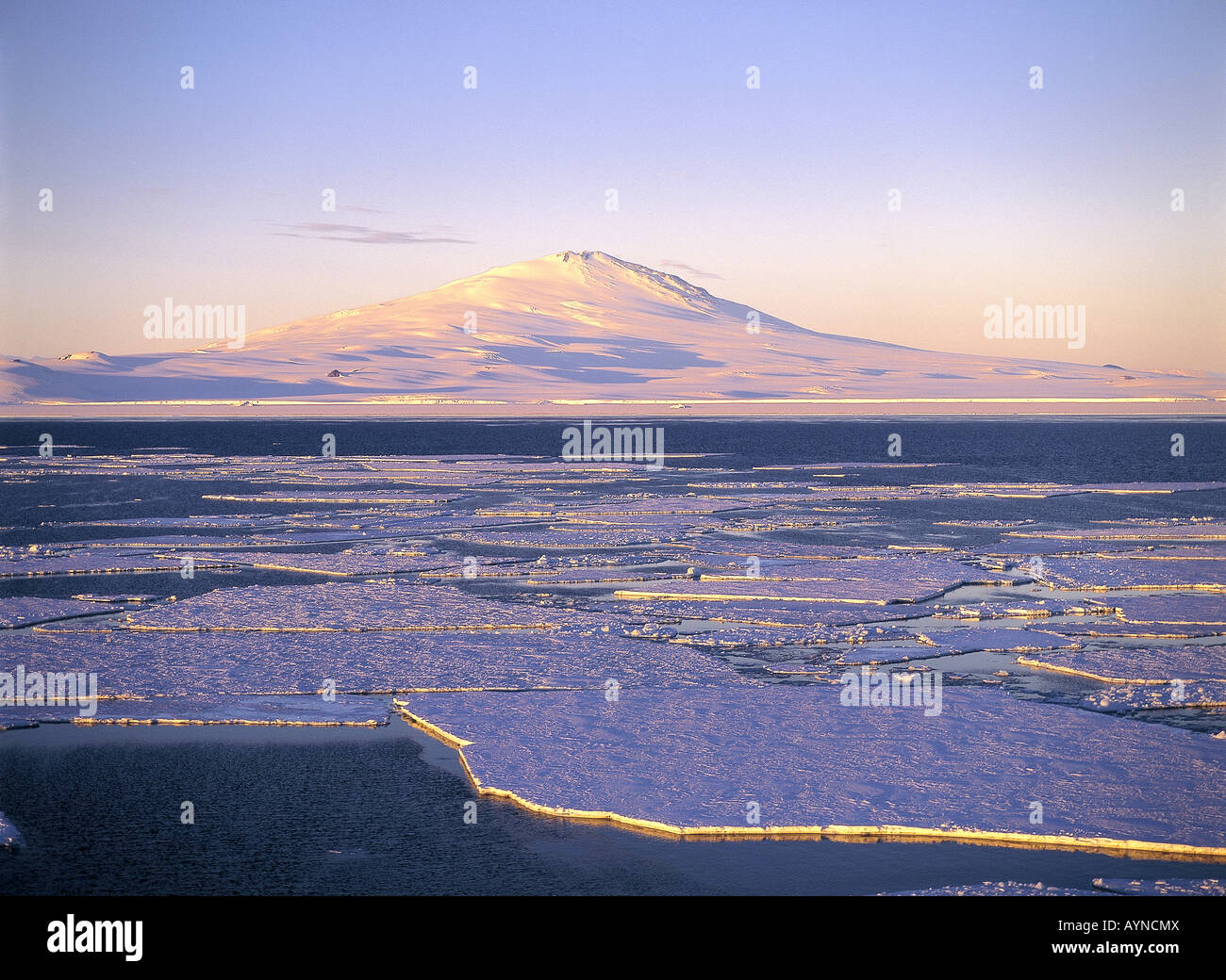 Pack ghiaccio e Mt. Melbourne Mare di Ross Antartide Foto Stock