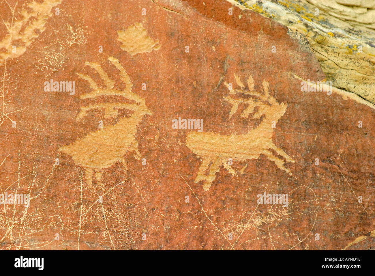 Petroglyph alla leggenda rock sito archeologico in Wyoming Foto Stock