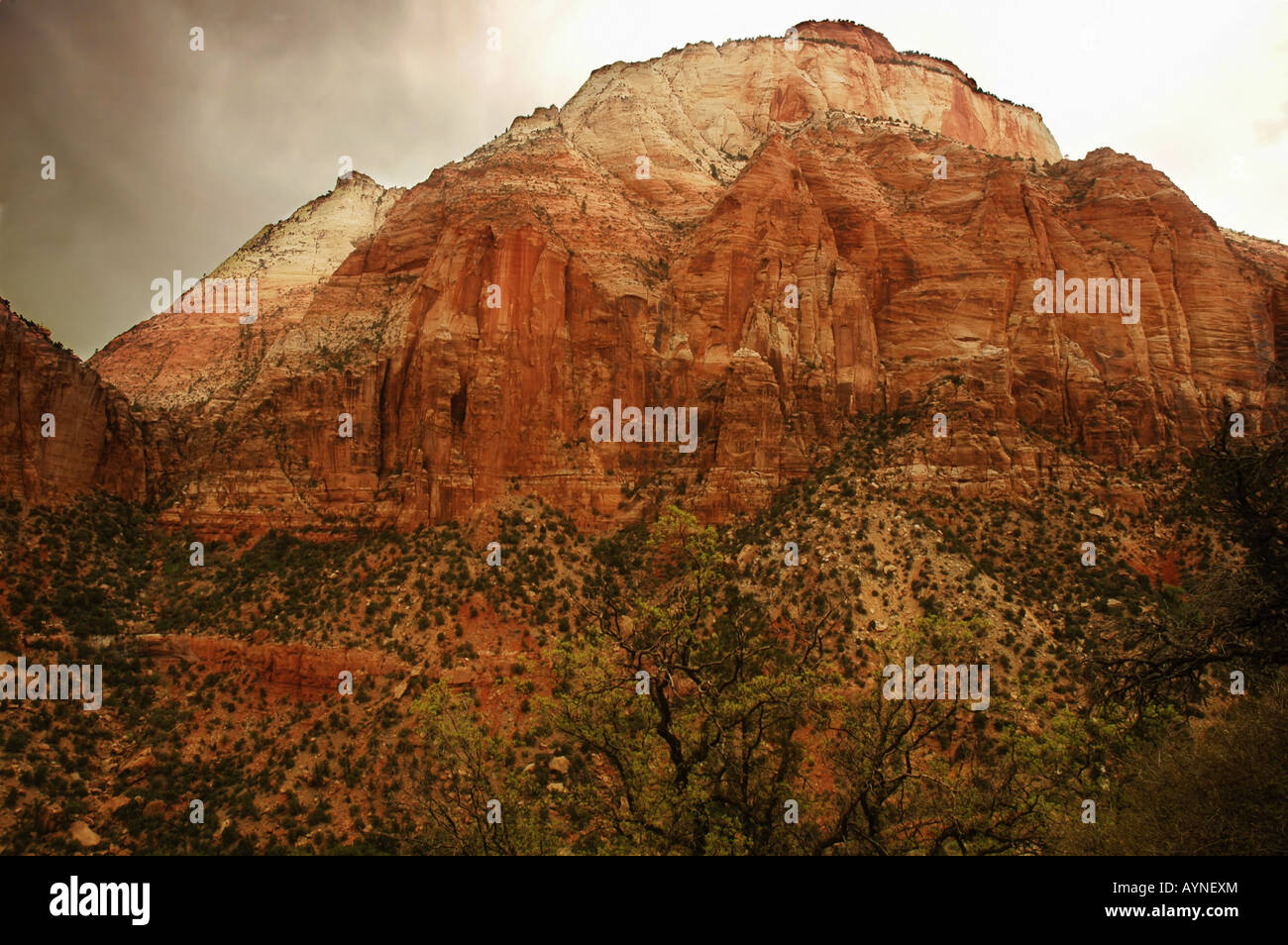Tempesta di pioggia per soffiatura in montagna a Zion National Park nello Utah Foto Stock