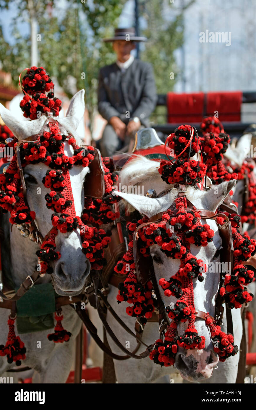 Trasporto e cavallo in fiera a Fuengirola Malaga sulla Costa del Sole Andalusia Spagna Foto Stock