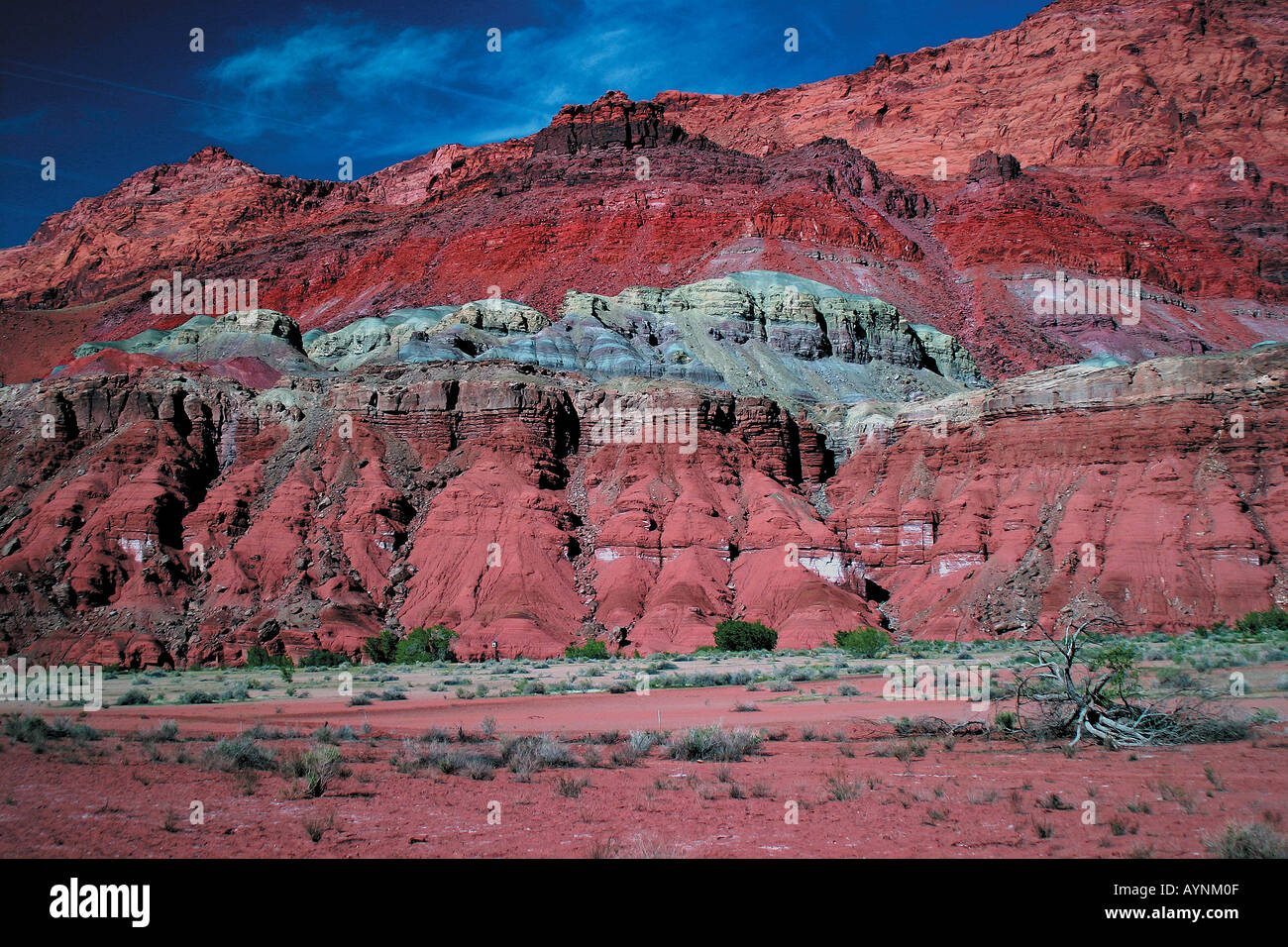 Verschiedenfarbige Felsenberge bei Lees Ferry Arizona USA Foto Stock