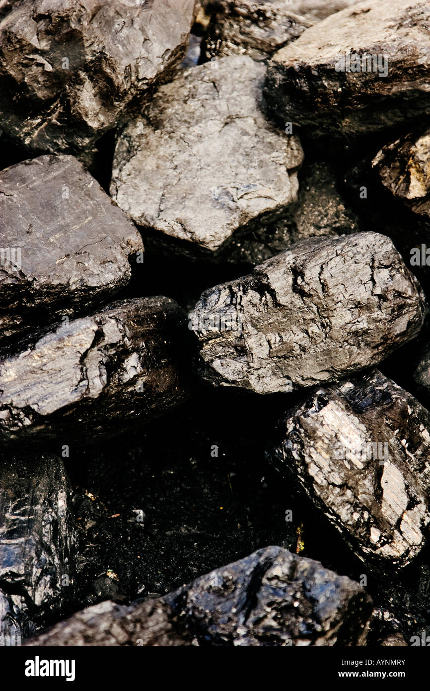 Grumi di carbone ritratto Foto Stock
