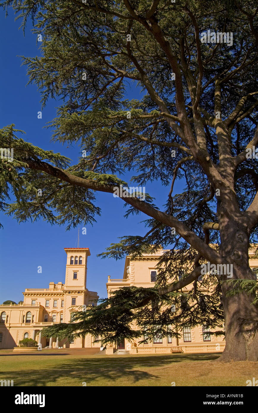 Osborne House East Cowes Isola di Wight in Inghilterra UK incorniciata dagli alberi English Heritage JMH0830 Foto Stock