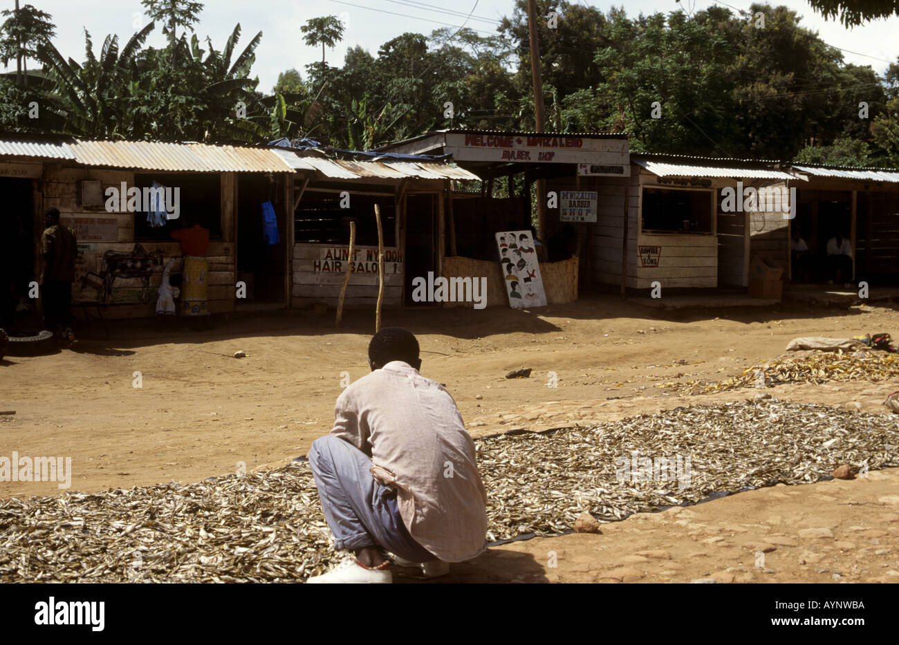 Pesce di lago di essiccazione al sole - Lago Malawi, Nkhata Bay, il Lago Malawi Malawi Foto Stock