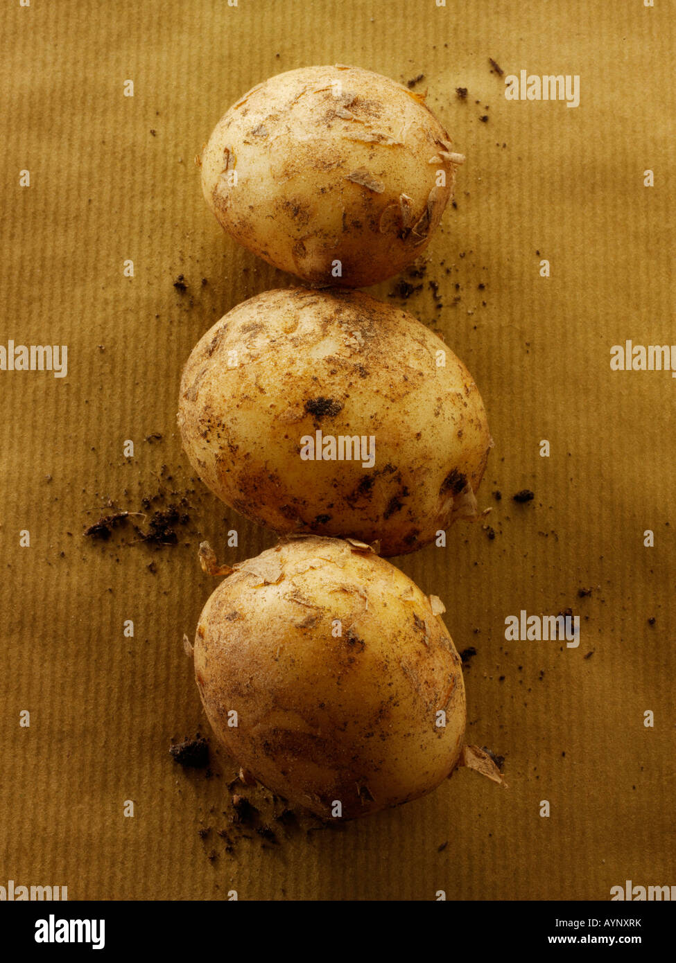 Organici di New Jersey di patate Foto Stock