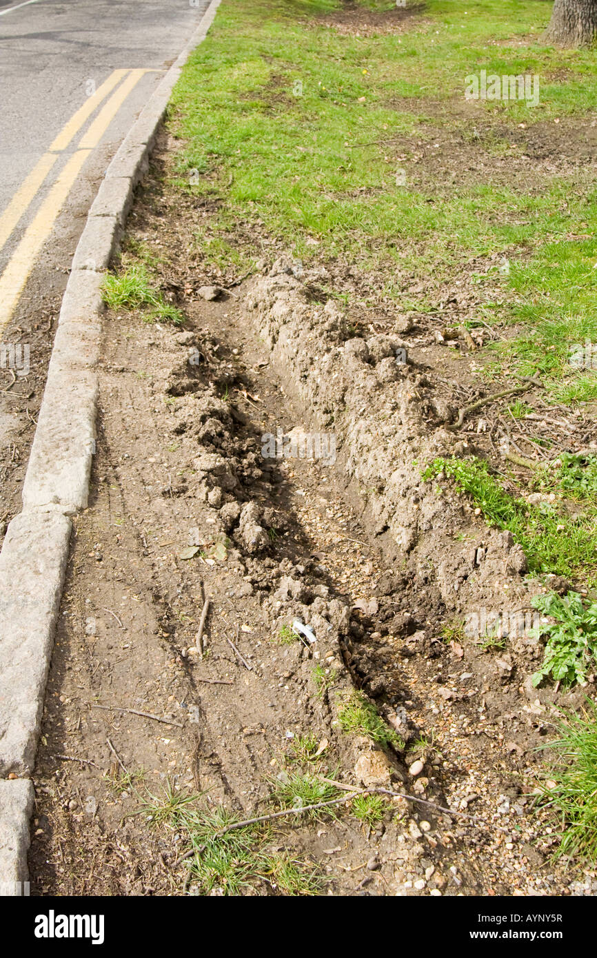 Pneumatico danneggiato erba verga, UK. Foto Stock