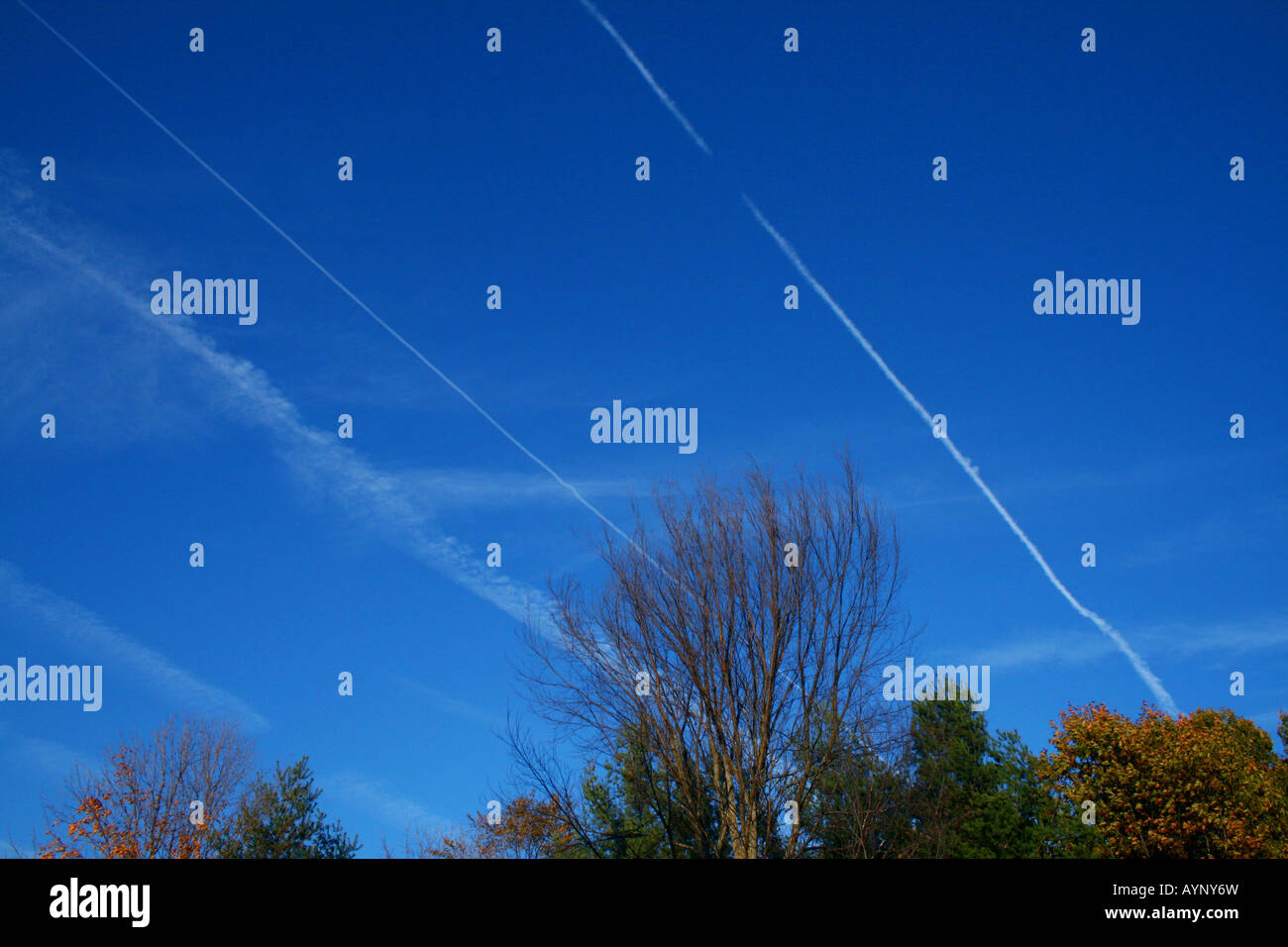 Contrails Jet Foto Stock