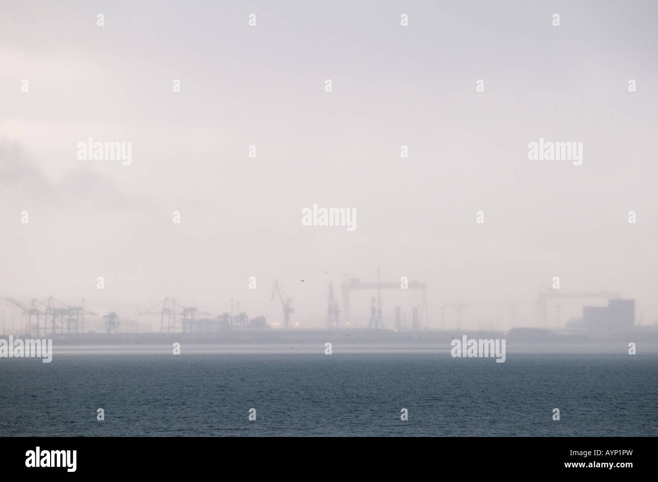 Belfast harbour nei primi giorni di nebbia di mattina con le gru appena visibile Foto Stock