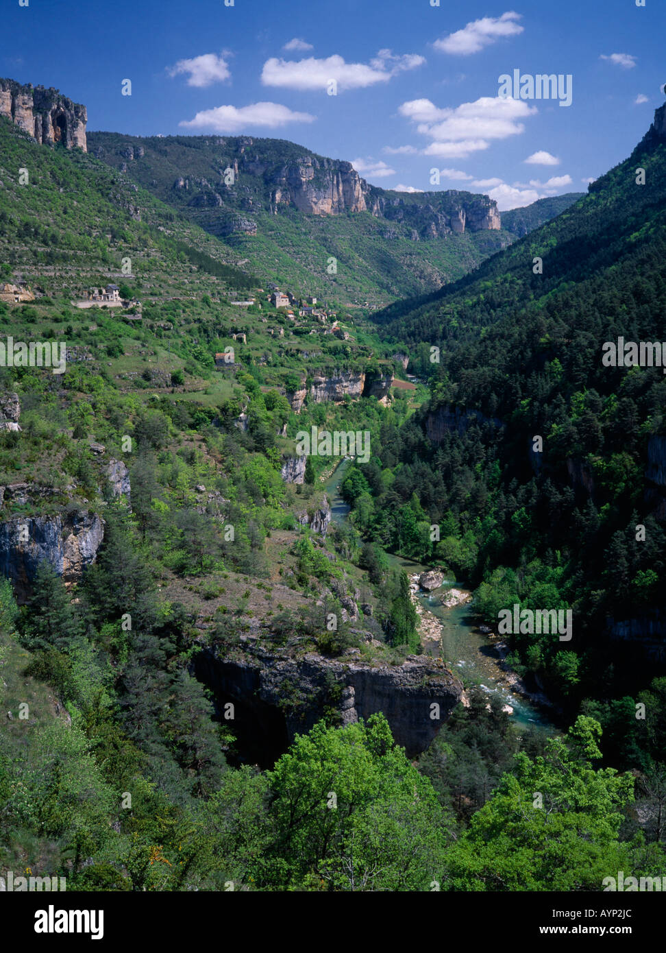 Francia Languedoc Roussillon Lozere Foto Stock