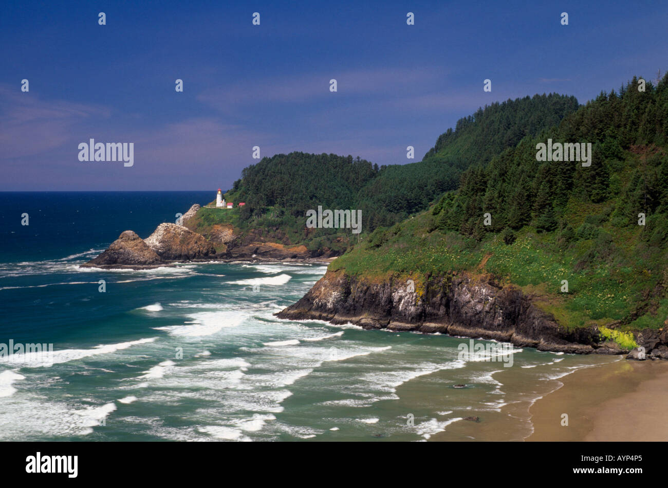 Stati Uniti d'America Nord America Oregon testa Heceta vista lungo la costa rocciosa passato spiaggia sabbiosa di Heceta Head Lighthouse in distanza Foto Stock