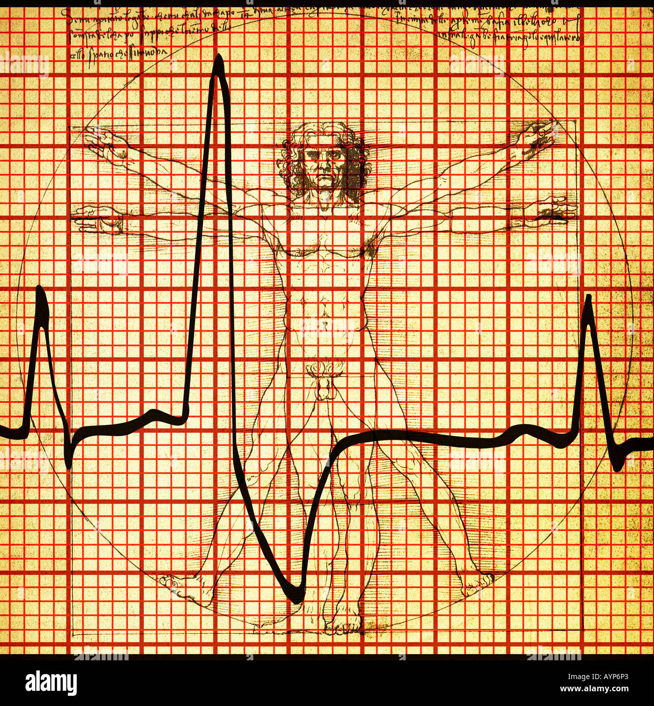 L'uomo vitruviano schizzo di Leonardo da Vinci miscelato sul grafico ECG Foto Stock