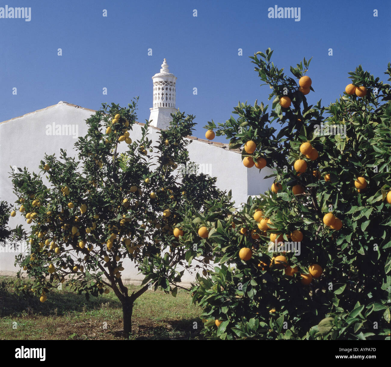 Il Portogallo Algarve, ornamentali moresco sul camino cottage con arancia e limone Foto Stock