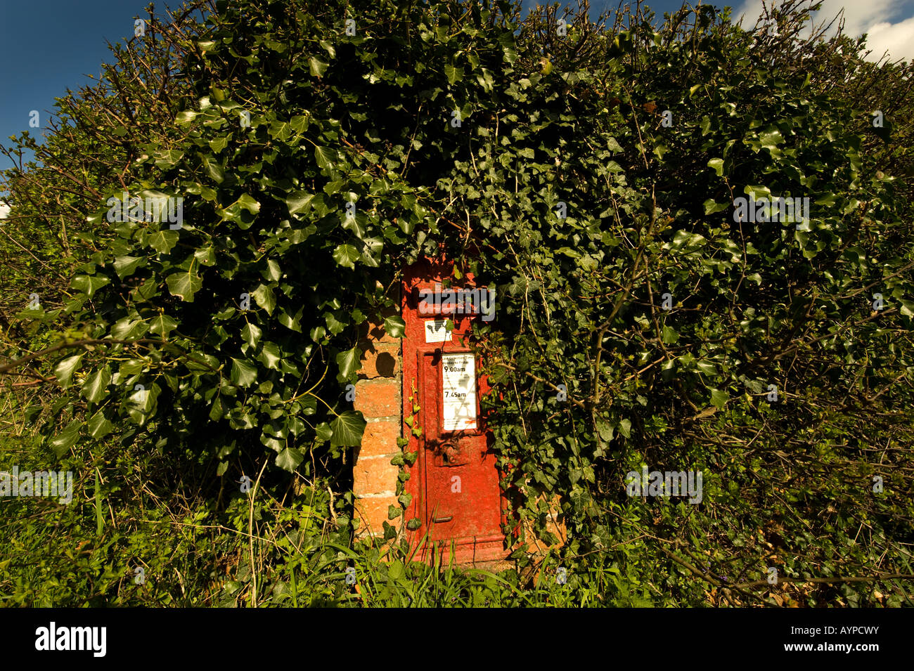 Un sottoutilizzati ma ancora attivo post varicella, quasi perso di vista dietro l'erba, ortiche e ivy nelle vicinanze Hanbury, Worcestershire Foto Stock